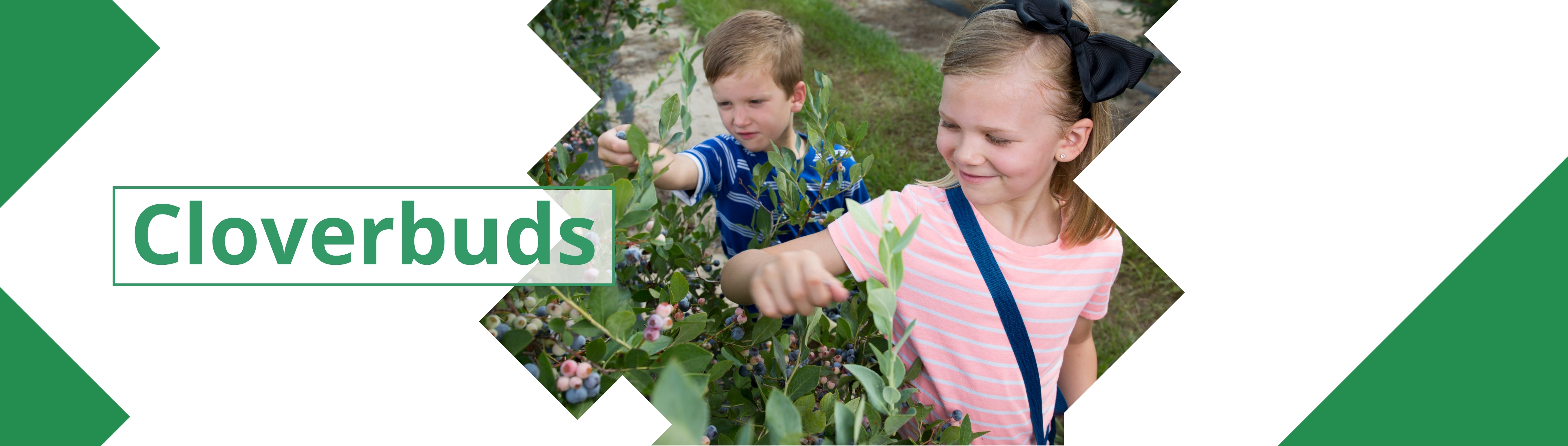 Banner image with 2 youth picking blueberries