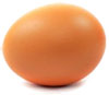 egg