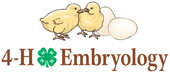 4-H Embryology Logo