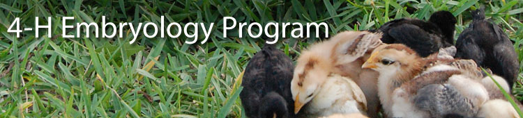 Florida 4-H Embryology Program