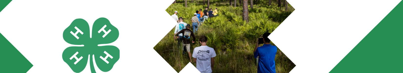 4-H youth learn about nature during a talk at a walking trail