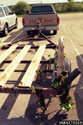 Water hyacinth plants on a boat trailer