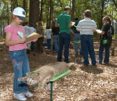 youth identify taxidermy animals on a forest hike