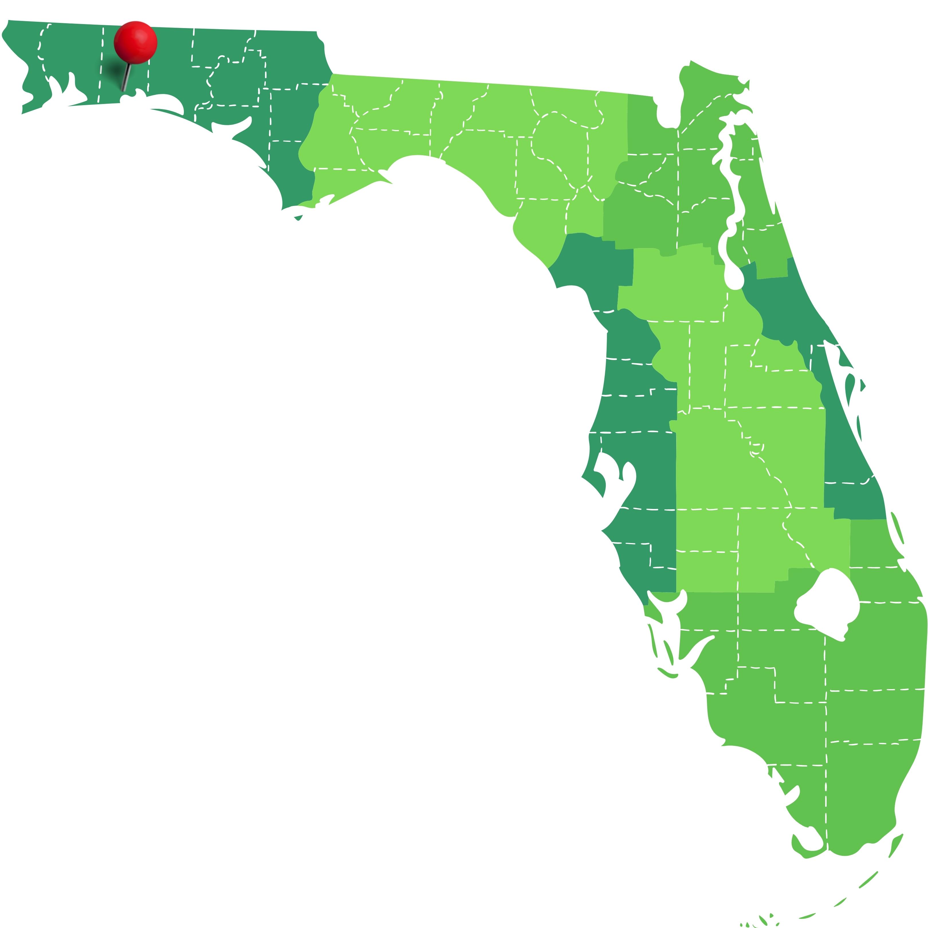 Photo graphic of Florida 
