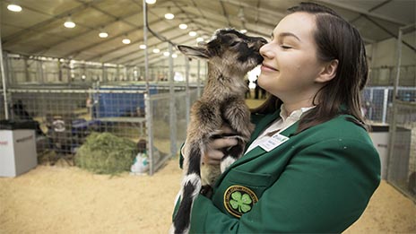 Girl holding goat