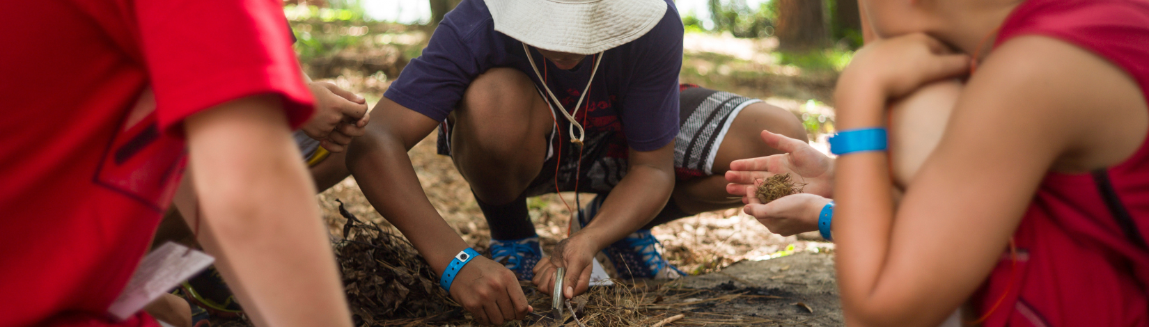 Banner image of youth searching the ground for insects