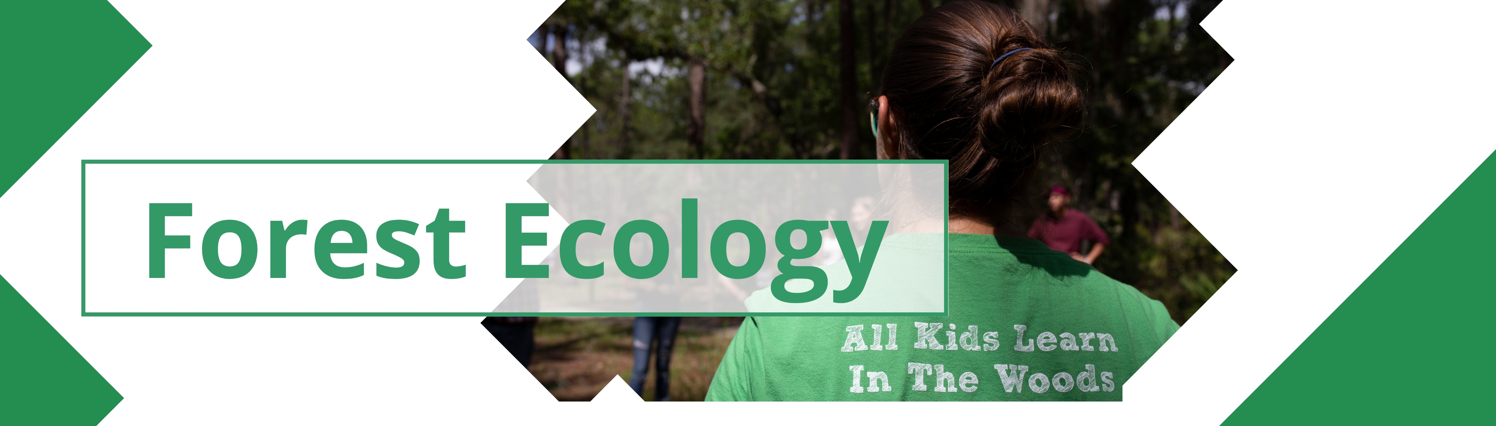 Graphic banner of youth learning about forestry and the environment