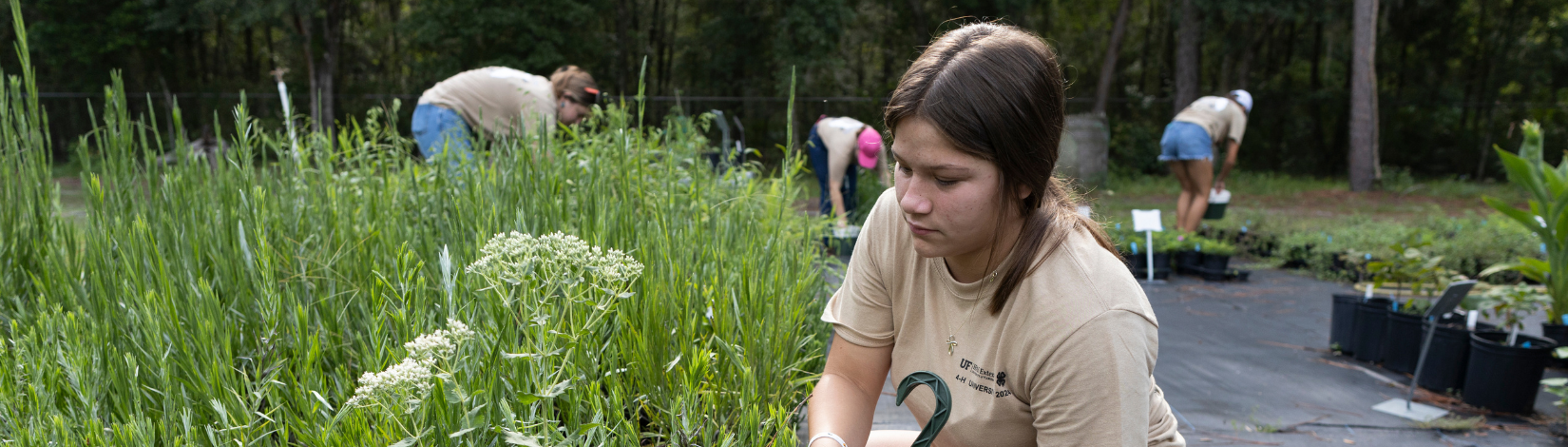 Banner image of youth gardening.